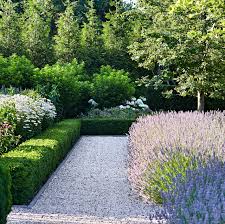 Cast a glance at the gallery below and surge inspiration. 14 Best Edging Plants Plants For Walkway Borders