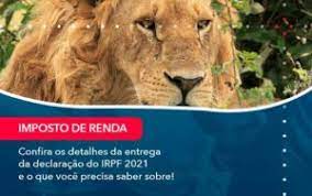 Al ser un impuesto progresivo, se van incrementando los tipos los contribuyentes por irpf deben ser conscientes de que el porcentaje final que se paga se divide, en. Declaracao De Imposto De Renda 2021 1 Contabilidade Em Recife Pe Categoria