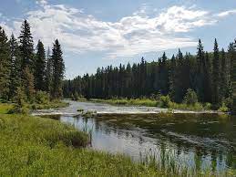 In a bulletin posted late friday, the national park said a wildfire was burning north of cookson road in the rabbit creek area. The 15 Best Things To Do In Waskesiu Lake 2021 With Photos Tripadvisor