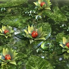 Our high resolution 4k hd quality picture will make your desktop or mobile cell phone beautiful. Water Lily Lotus Flower Green Hd Mobile Wallpaper Peakpx