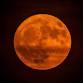 Moonlit WildSpa — Westerlands event image
