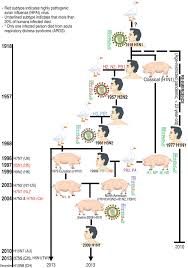 The flu is a respiratory disease, but it can affect the whole body. Molecular Basis Of A Pandemic Of Avian Type Influenza Virus Springerlink