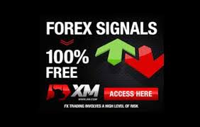 Hasil gambar untuk xm forex