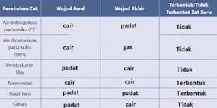 Apa yang kamu pelajari hari ini? Lengkap Kunci Jawaban Ipa Kelas 7 Halaman 129 130 131 Semester 1 Uji Kompetensi Bab 3 Buku Siswa