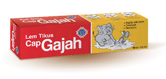 Caranya, tuangkan sedikit minyak masak pada tisu serap minyak (kitchen towel tissue paper) dan gosok. Cara Menangkap Tikus Di Rumah Mencegah Tikus Datang Kembali