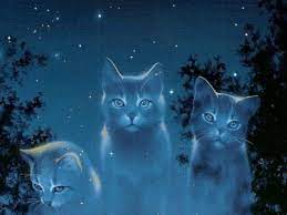 The middle of no where mp3 player of choice: Warrior Cats Firestar Wallpapers Desktop Wallpaper Cave