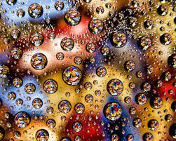 10 Macro Photography Subject Ideas Macro Photography Subjects Macro Photography Water Macro Photography Tips