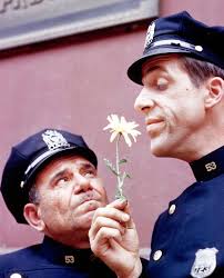 Who watched this TV sitcom it aired from 61-63