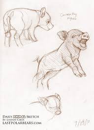 The Last Of The Polar Bears Dailysketch Animal Sketches Cool Drawings Sketches