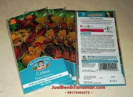 Benih / biji tanaman hias bunga cosmos dwarf mix warna warni 20 bijirp12.000: Jual Benih Tanaman Hias Daun Api Coleus Jual Benih Bibit Tanaman Online