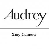 Her enchanting turns as ann — roman holiday's . Audreyar 2 0 Apk Download Com Homemadealltips Audreyar Xray App
