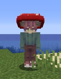 Mushroom hat, fairy hat, pixie hat, fly agaric, amanita muscaria. Mushroom Quest Mods Minecraft Curseforge