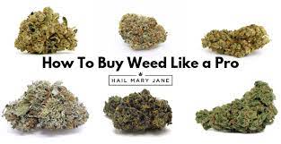 Weed costs almost £23 per gram in tokyo, for example, and it is also over £20 a gram in seoul and kyoto. How To Buy Weed Guide 15 Rules For New Weed Buyers Hmj