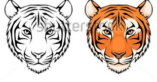 It does not make him less predatory. Line Drawing Of Tiger Face Tiger Head Tattoo Tiger Drawing Tiger Face