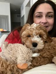 We have puppies ❤️ super happy mama and her gorgeous pups ❤️ SO proud of  her ❤️