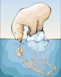 Colorful Abstract Kiwi Silhouette Poster Zazzle Com Global Warming Art Global Warming Poster Climate Change Art