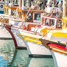 No coast design, outerlimits powerboats, powerboats tagged with: Boat And Marine Paint The Home Depot