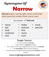 [probably alteration of british dialectal scaddle, to run off in fear, from scaddle, wild, thievish, skittish, from middle english scathel, wild, harmful, probably of old norse origin; Shove Definition Synonyms