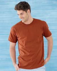 gildan 2000 ultra cotton t shirt