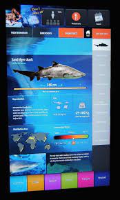 pin on interactive
