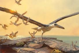 Urzeit Die Grossten Vogel Aller Zeiten With Images Sea Birds Paleontology Evolution