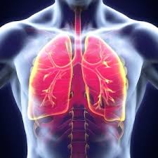 Heart attack causes a sudden pain of various intensity behind the breastbone or slightly to the left. How The Lungs Work Health24