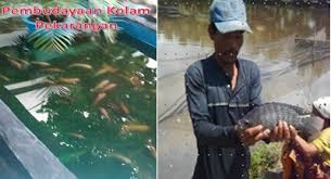 Dinas Kelautan Dan Perikanan Provinsi Riau