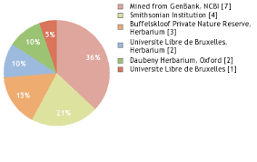 Image result for Cryptosepalum maraviense