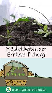 Moglichkeiten Der Ernteverfruhung Garten Permakultur Und Pflanzen