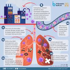 Pengawalan penyakit berjangkit) (pindaan) 2021. Mengenal Lebih Dekat Corona Virus Disease Covid 19 Pandemic Dan Upaya Pencegahan Sultengmembangun Com