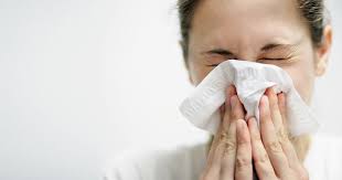 Allergiya Na Sherst Simptomy Kak Proyavlyaetsya Allergiya Na Sherst Domashnih Zhivotnyh
