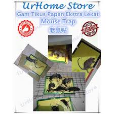Check spelling or type a new query. Buy Gam Tikus Ekstra Lekat Seetracker Malaysia