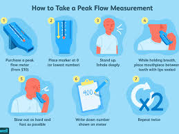 Peak Flow Meter Uses Procedure Results