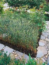 Garden Path Ideas Mixed Material Walkways Decorative Rock Landscaping Garden Paths Outdoor Paradise