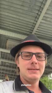 PINTINHOS DE CORTE 🐤🐣 Entre em contato pelos telefones ☎️47 3382-1347  📞47 99918-1160 Ou venha até a nossa loja R. Afonso Pena, 61