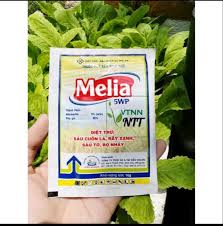 Melia 5WP