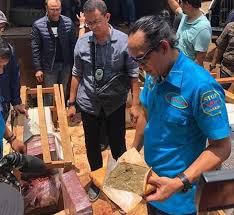 Pelaksanaan pendataan dan informasi nasional, penelitian dan pengembangan, dan pendidikan dan pelatihan di bidang p4gn; Tembak Tembakan Petugas Bnn Kejar Truk Bawa 1 Ton Ganja Kanal Aceh