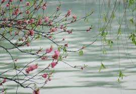 æ¥å±±ææ¥åé¢¨ï¼éå¹²æ¨é£ç°¾æ«³ã - æ¯æ¥é ­æ¢