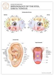 Browse Sclerology Images And Ideas On Pinterest