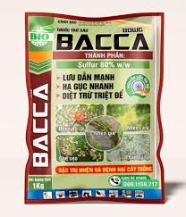 Bacca 80WG