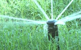 Unlike other climates around the nation, in the desert, we only have two seasons for grass: High Efficiency Nozzles Save Water While Keeping Lawn Green Cronkite News Arizona Pbs