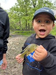 Derrick Hammer (@CoachHammer4)