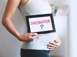 The way this vaccine works, there's no reason to suspect that it gets into breast milk. New Study Suggests Covid Vaccines Are Safe For Pregnant Women Don T Damage The Placenta The Economic Times