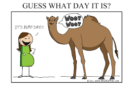 Hump day is a commercial while caleb announces hump day in the office. Guess What Day It Is