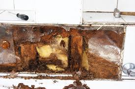 They would cut the wall open, determine the exact location of the leak, and replace the damaged sections. How To Repair A Water Damaged Wall In The Bathroom