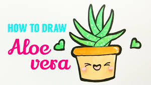 How To Draw Aloe Vera Easy Cute Aloevera Drawing Tutorial For Beginner Youtube Work on the whole figure, paying special attention to detail. how to draw aloe vera easy cute aloevera drawing tutorial for beginner