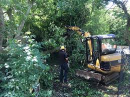 We did not find results for: Atlas Arboriculture Tree Services Home Specialist Tree Services