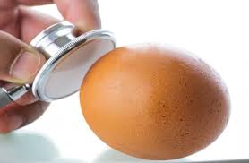 Are eggs that float good? Can I Still Eat That Eggs Freshmagazine