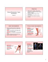 Broadly considered, human muscle—like the muscles of all vertebrates—is often divided into striated muscle. Muscle Movement Types And Names