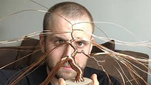 We did not find results for: Watch An Artist Turn Copper Wire Into A Bonsai Tree Simplemost